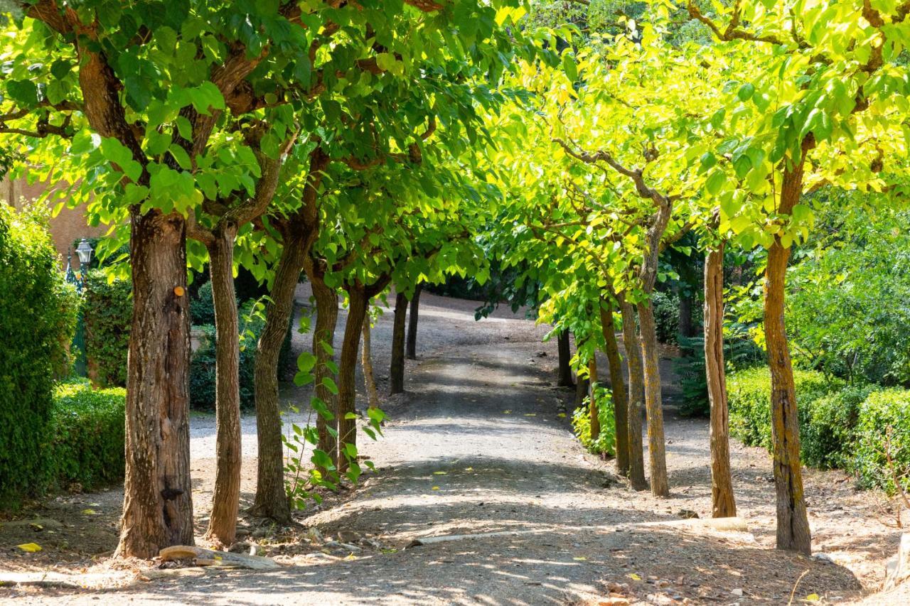 Hotel Rural Y Apartamentos Villa Engracia Espluga de Francolí Εξωτερικό φωτογραφία