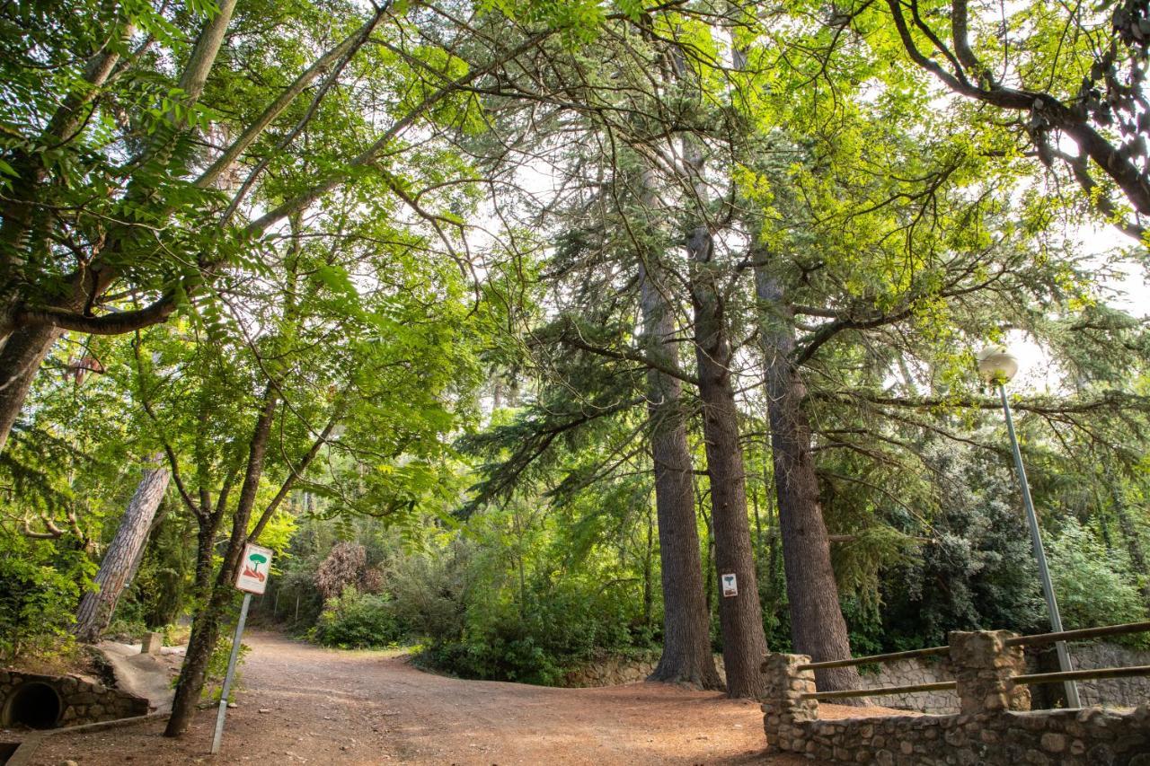 Hotel Rural Y Apartamentos Villa Engracia Espluga de Francolí Εξωτερικό φωτογραφία